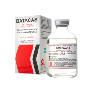 Batacas