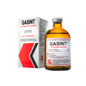 Gasint
