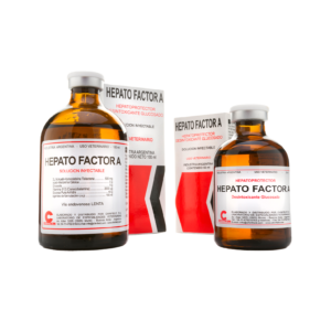Hepato Factor A