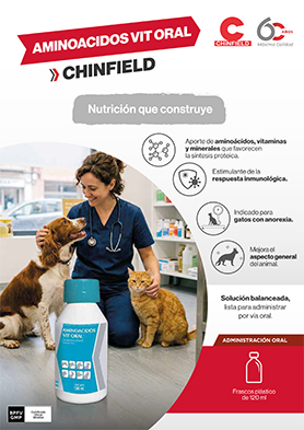 Aminoácidos Vit Oral