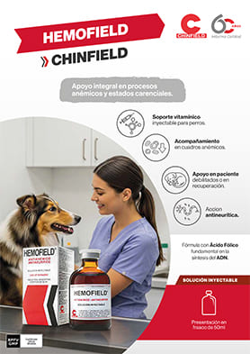 Hemofield